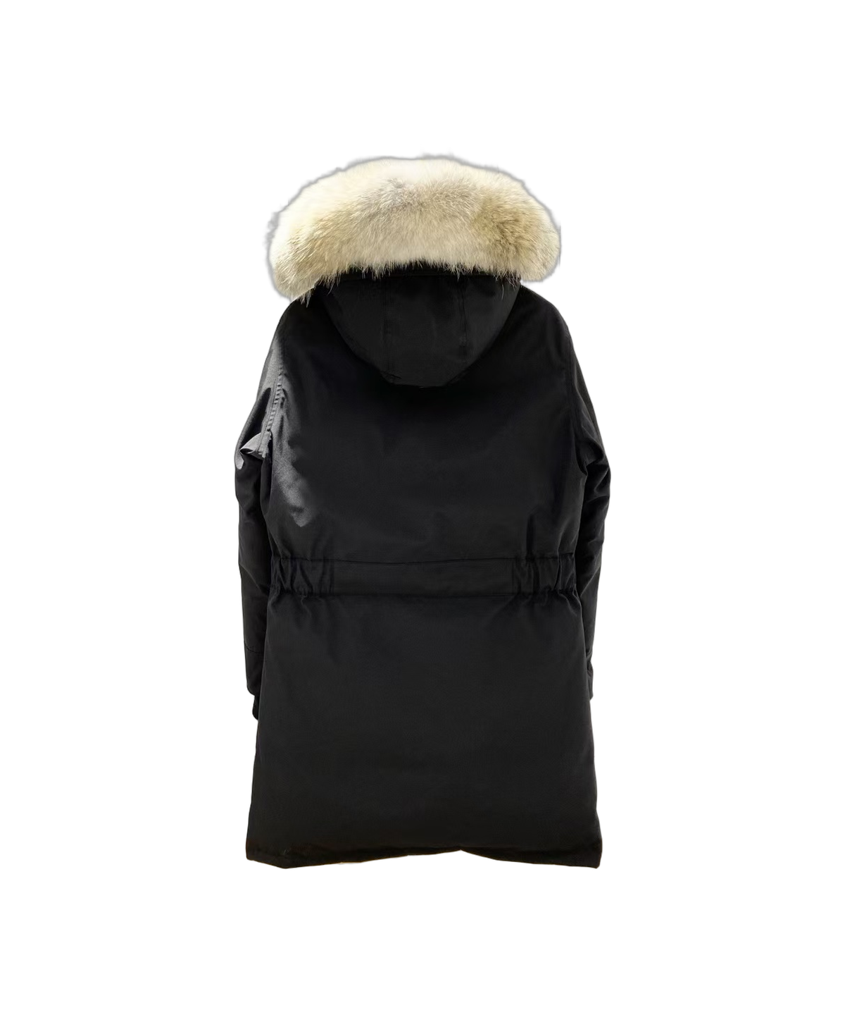 Canada Goose Women's Trillium Fur-Trim Parka | Coyote Fur Hood | 625-Fill Down