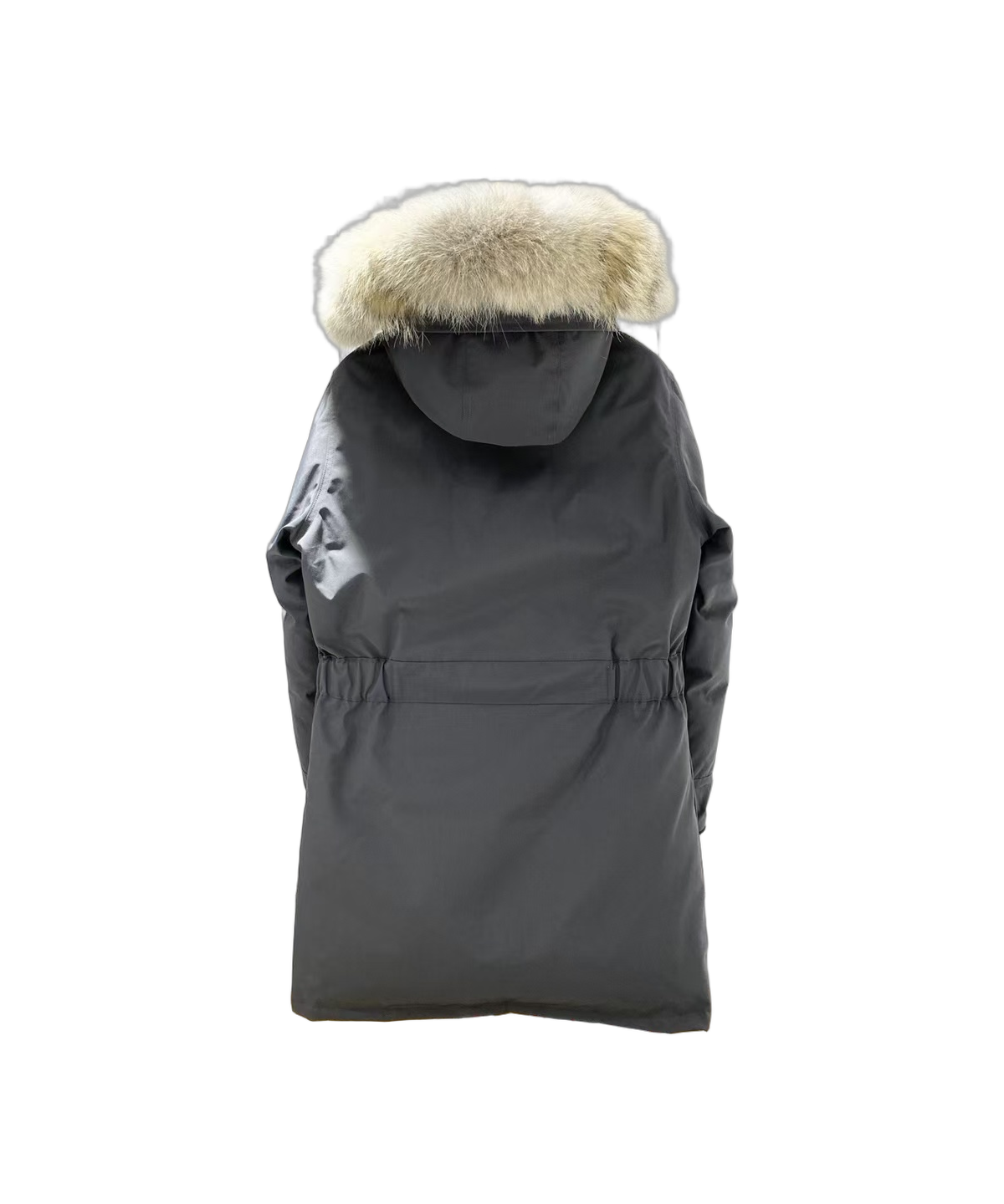 Canada Goose Women's Trillium Fur-Trim Parka | Coyote Fur Hood | 625-Fill Down