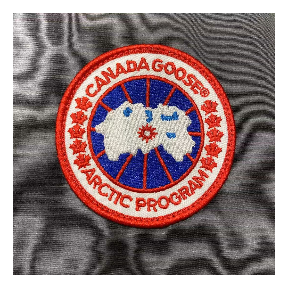 Canada Goose Women's Trillium Fur-Trim Parka | Coyote Fur Hood | 625-Fill Down