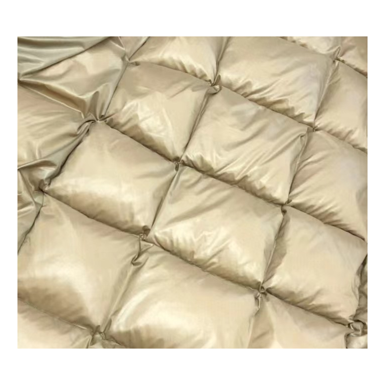 Moncler Gold-Lined Glossy Long Puffer Coat | Black | Gold Lining