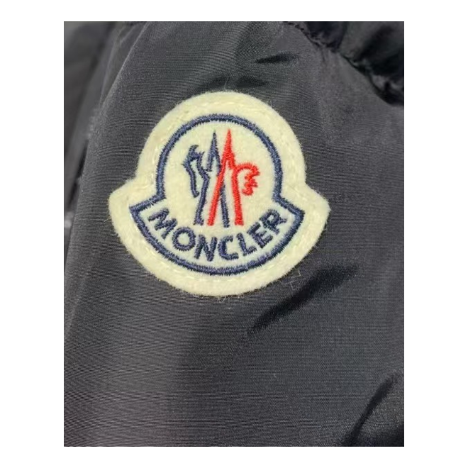 Moncler Drawstring-Hood Fitted Puffer Jacket | Tailored Fit | Premium Down